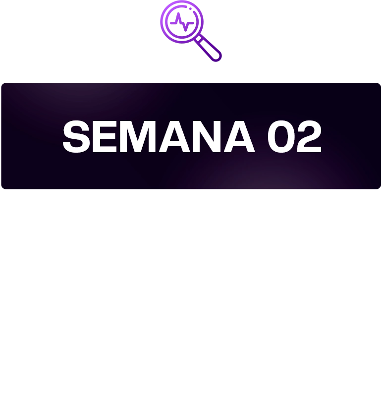 SEMANA 02