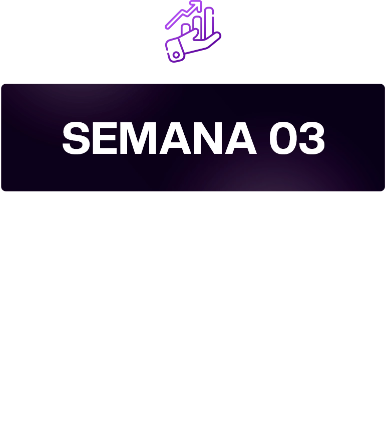 SEMANA 03